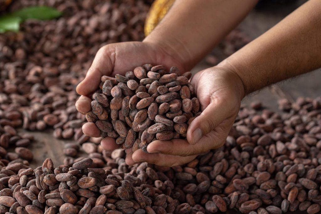 Cacao