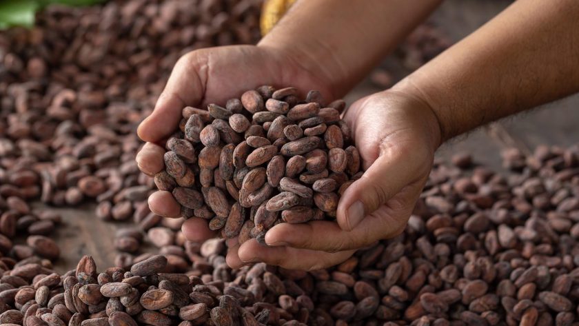 Cacao