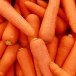 Carota