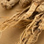 Ginseng