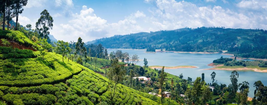 Sri Lanka quando andare