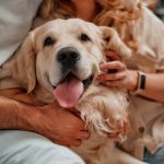 Perché il cane si mette in mezzo quando ci abbracciamo?